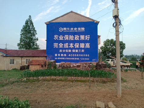 宁洱墙体广告的优劣势你知道吗？